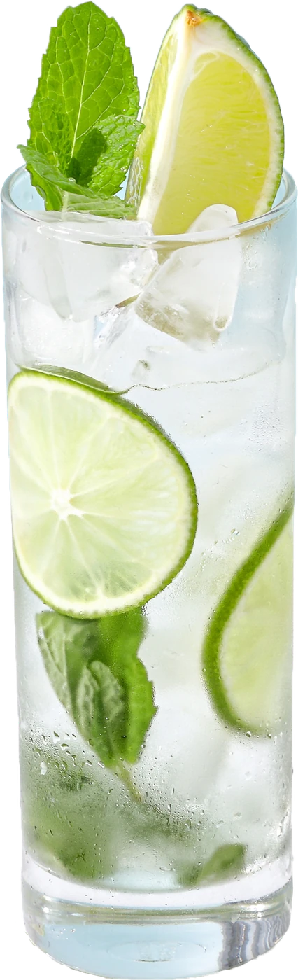 Gin and tonic with lime